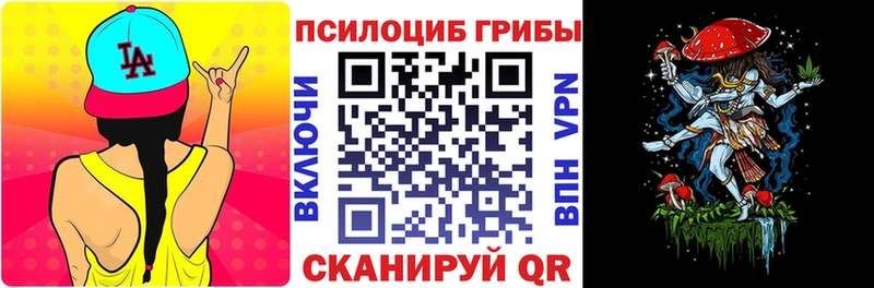 Псилоцибиновые грибы Cubensis  Купить  Гуково 